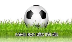 Phương Pháp Đọc Kèo Tài Xỉu Bóng Đá Chi Tiết Và Hiệu Quả Nhất