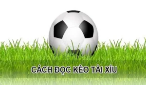 Bí Quyết Soi Kèo Tài Xỉu Hiệp 1 Chính Xác Dựa Trên Số Liệu Thực Tế
