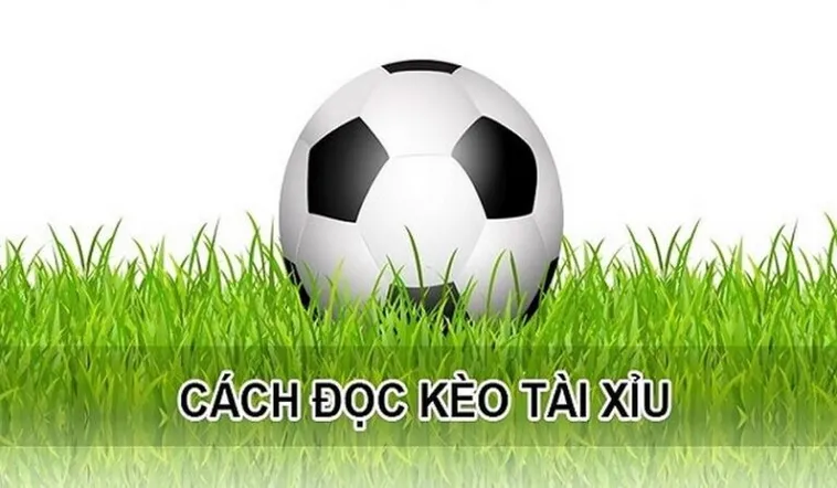 Bí Quyết Soi Kèo Tài Xỉu Hiệp 1 Chính Xác Dựa Trên Số Liệu Thực Tế