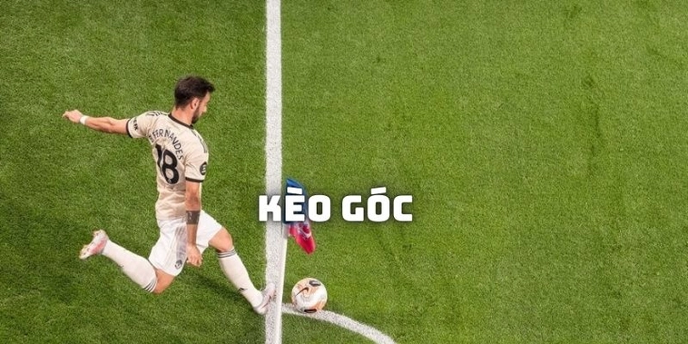 Tuyệt Chiêu Soi Kèo Phạt Góc Bóng Đá Chắc Thắng Từ Chuyên Gia
