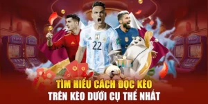 Cách Nhận Diện Kèo Trên Kèo Dưới Hiệu Quả Nhất Cho Người Mới