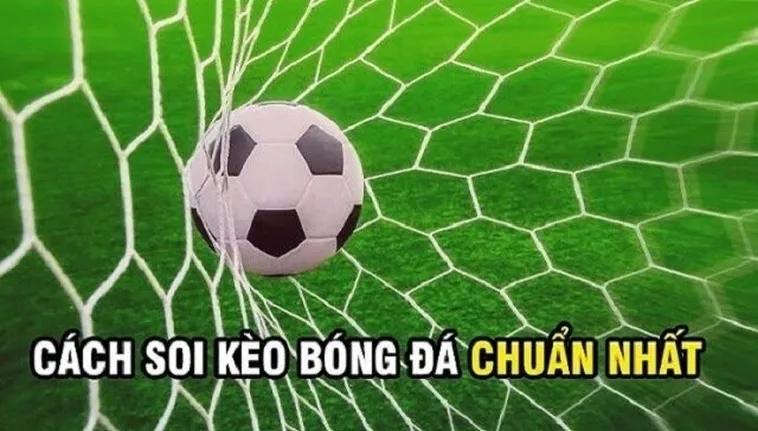 Tuyệt Chiêu Đánh Kèo Rung Trong Bóng Đá Hiệu Quả Nhất Hiện Nay